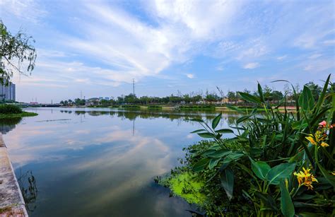 河流照片|河流 生态图片